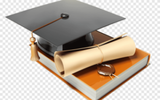 png-clipart-diplominis-darbas-coursework-diploma-thesis